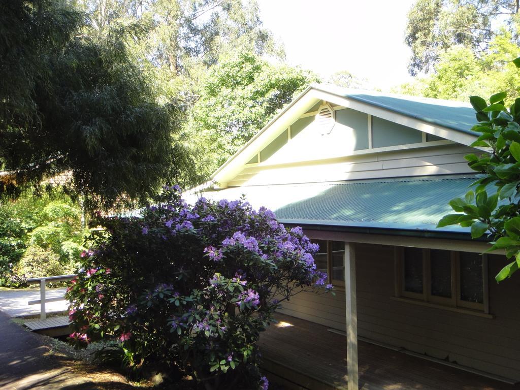 Credo Cottages Olinda Exterior photo