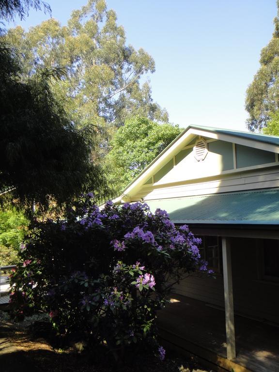 Credo Cottages Olinda Exterior photo